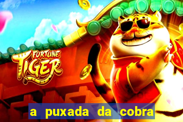 a puxada da cobra no jogo do bicho